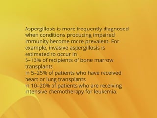 Aspergillosis is more frequently diagnosed
when conditions producing impaired
immunity become more prevalent. For
example, invasive aspergillosis is
estimated to occur in
5–13% of recipients of bone marrow
transplants
In 5–25% of patients who have received
heart or lung transplants
in 10–20% of patients who are receiving
intensive chemotherapy for leukemia.
 