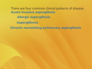 There are four common clinical patterns of disease.
Acute invasive aspergillosis
Allergic aspergillosis
Aspergilloma
Chronic necrotizing pulmonary aspergillosis
 