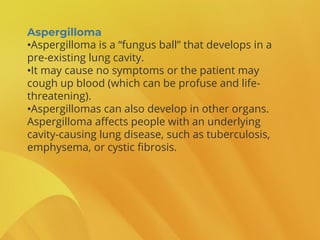 Aspergilloma
•Aspergilloma is a “fungus ball” that develops in a
pre-existing lung cavity.
•It may cause no symptoms or the patient may
cough up blood (which can be profuse and life-
threatening).
•Aspergillomas can also develop in other organs.
Aspergilloma affects people with an underlying
cavity-causing lung disease, such as tuberculosis,
emphysema, or cystic fibrosis.
 