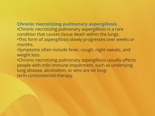 Chronic necrotizing pulmonary aspergillosis
•Chronic necrotizing pulmonary aspergillosis is a rare
condition that causes tissue death within the lungs.
•This form of aspergillosis slowly progresses over weeks or
months.
•Symptoms often include fever, cough, night sweats, and
weight loss.
•Chronic necrotizing pulmonary aspergillosis usually affects
people with mild immune impairment, such as underlying
lung disease, alcoholism, or who are on long-
term corticosteroid therapy.
 