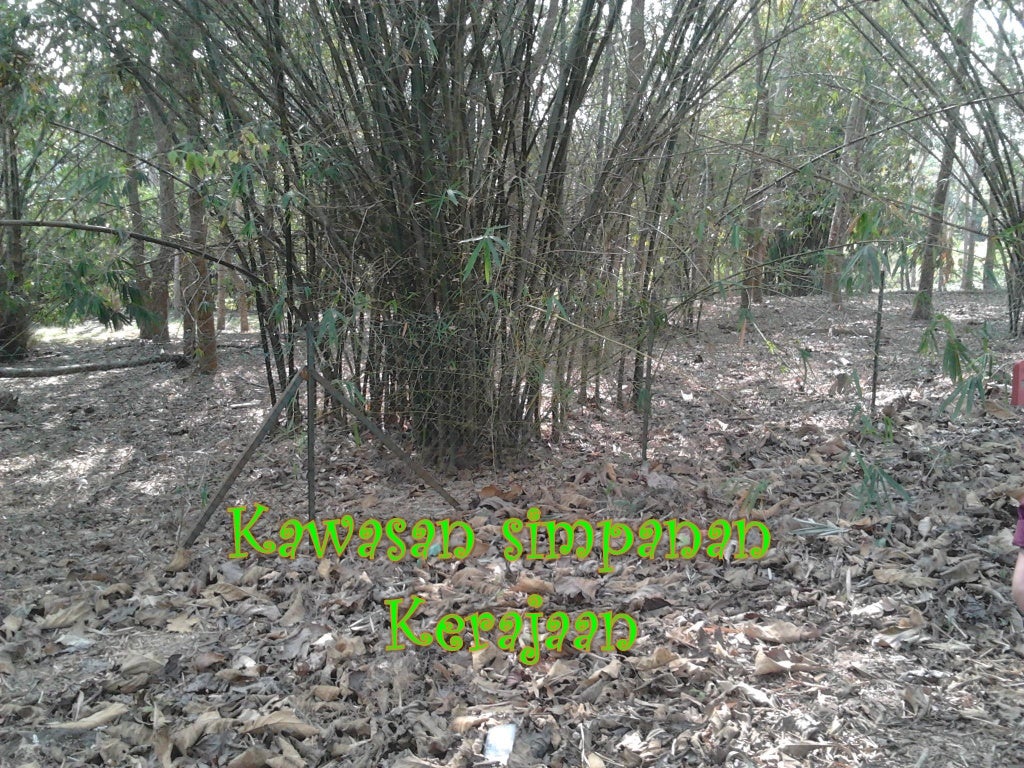 cadangan guna tanah pertanian