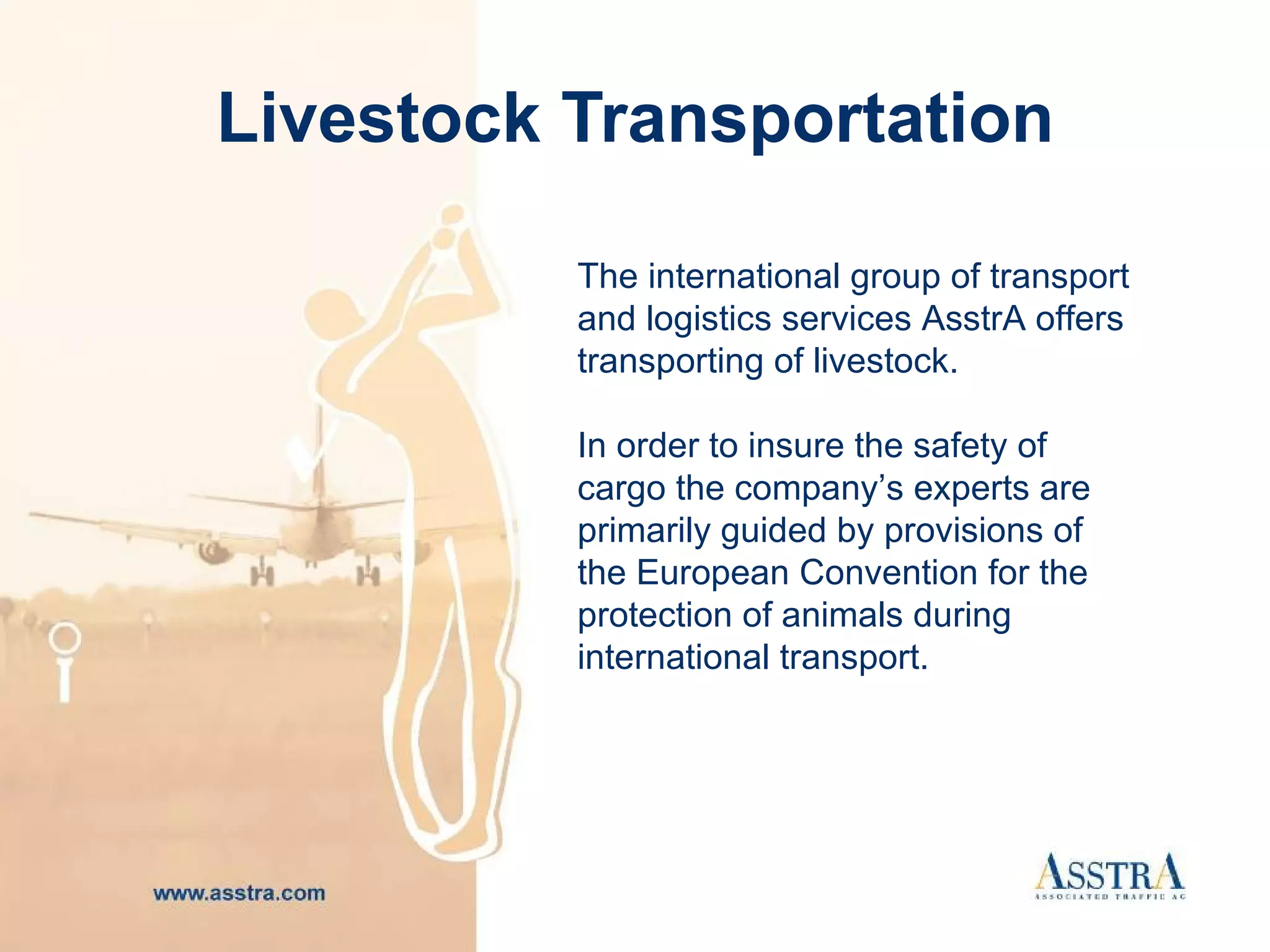 Livestock Transportation The international group of transport and logistics services  AsstrA offers transporting of livestock.   In order to insure the safety of cargo the company’s experts are primarily guided by provisions of the European Convention for the protection of animals during international transport. 
