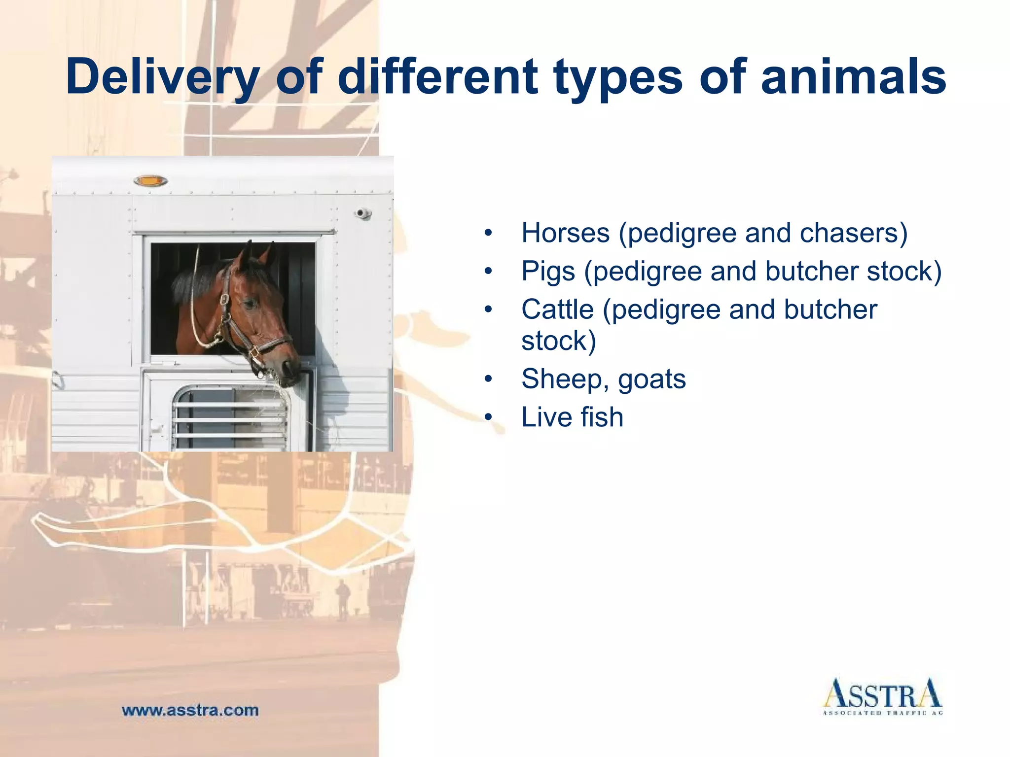 Delivery of different types of animals H orses (pedigree and chasers)  P igs (pedigree and butcher stock)  C attle (pedigree and butcher stock)  S heep, goats L ive fish  