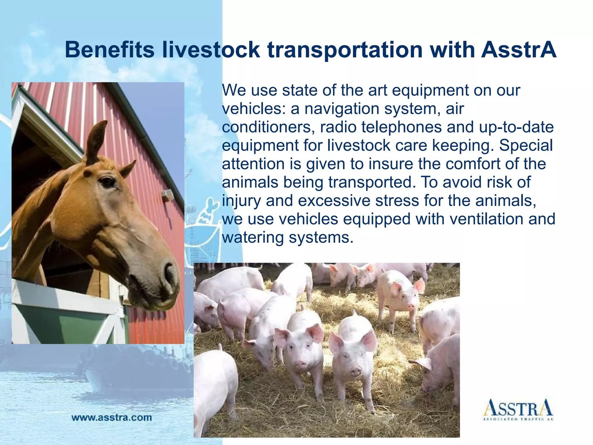 Benefits livestock transportation   with AsstrA We use state of the art equipment on our vehicles: a navigation system, air conditioners, radio telephones and up-to-date equipment for livestock care keeping. Special attention is given to insure the comfort of the animals being transported. To avoid risk of injury and excessive stress for the animals, we use vehicles equipped with ventilation and watering systems.  