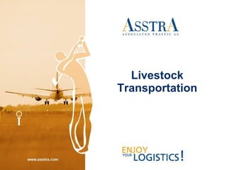 Livestock Transportation 