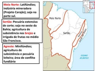 Meio Norte:  Latifúndios; indústria mineradora (Projeto Carajás); soja na parte sul. Sertão:  Pecuária extensiva de corte; soja no oeste da Bahia; agricultura de subsistência nos  brejos  e irrigada de frutas no médio São Francisco. Agreste:  Minifúndios; agricultura de subsistência e pecuária leiteira; área de conflito fundiário 