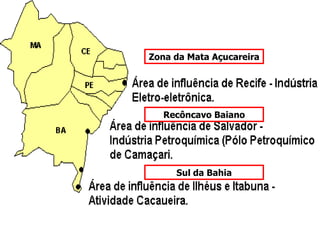 Zona da Mata Açucareira Recôncavo Baiano Sul da Bahia 