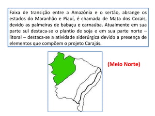 Faixa de transição entre a Amazônia e o sertão, abrange os estados do Maranhão e Piauí, é chamada de Mata dos Cocais, devido as palmeiras de babaçu e carnaúba. Atualmente em sua parte sul destaca-se o plantio de soja e em sua parte norte – litoral – destaca-se a atividade siderúrgica devido a presença de elementos que compõem o projeto Carajás.  (Meio Norte) 