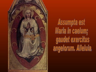 Assumpta est  Maria in caelum; gaudet exercitus angelorum. Alleluia. 