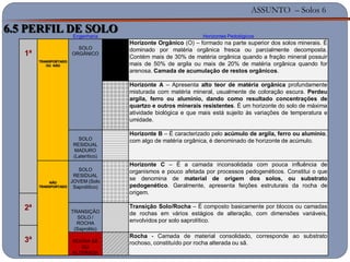 ASSUNTO – Solos 6
Engenharia Horizontes Pedológicos
1ª
TRANSPORTADO
OU NÃO
SOLO
ORGÂNICO
Horizonte Orgânico (O) – formado na parte superior dos solos minerais. É
dominado por matéria orgânica fresca ou parcialmente decomposta.
Contém mais de 30% de matéria orgânica quando a fração mineral possuir
mais de 50% de argila ou mais de 20% de matéria orgânica quando for
arenosa. Camada de acumulação de restos orgânicos.
Horizonte A – Apresenta alto teor de matéria orgânica profundamente
misturada com matéria mineral, usualmente de coloração escura. Perdeu
argila, ferro ou alumínio, dando como resultado concentrações de
quartzo e outros minerais resistentes. É um horizonte do solo de máxima
atividade biológica e que mais está sujeito às variações de temperatura e
umidade.
SOLO
RESIDUAL
MADURO
(Laterítico)
Horizonte B – É caracterizado pelo acúmulo de argila, ferro ou alumínio,
com algo de matéria orgânica, é denominado de horizonte de acúmulo.
NÃO
TRANSPORTADO
SOLO
RESIDUAL
JOVEM (Solo
Saprolítico)
Horizonte C – É a camada inconsolidada com pouca influência de
organismos e pouco afetada por processos pedogenéticos. Constitui o que
se denomina de material de origem dos solos, ou substrato
pedogenético. Geralmente, apresenta feições estruturais da rocha de
origem.
2ª TRANSIÇÃO
SOLO /
ROCHA
(Saprolito)
Transição Solo/Rocha – É composto basicamente por blocos ou camadas
de rochas em vários estágios de alteração, com dimensões variáveis,
envolvidos por solo saprolítico.
3ª ROCHA SÃ
OU
ALTERADA
Rocha - Camada de material consolidado, corresponde ao substrato
rochoso, constituído por rocha alterada ou sã.
6.5 PERFIL DE SOLO
 
