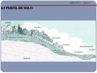 ASSUNTO – Solos 6
6.5 PERFIL DE SOLO
 