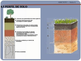 ASSUNTO – Solos 6
6.5 PERFIL DE SOLO
 