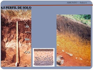 ASSUNTO – Solos 6
6.5 PERFIL DE SOLO
 