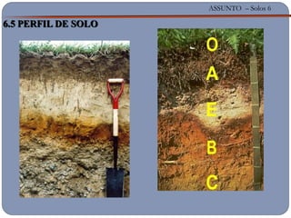 ASSUNTO – Solos 6
6.5 PERFIL DE SOLO
 