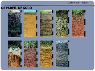 ASSUNTO – Solos 6
6.5 PERFIL DE SOLO
 
