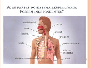 SE AS PARTES DO SISTEMA RESPIRATÓRIO.
FOSSEM INDEPENDENTES?
 