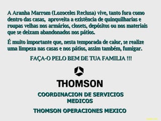 A Aranha Marrom (Loxoceles Reclusa) vive, tanto fora como dentro das casas,  aproveita a existência de quinquilharias e roupas velhas nos armários, closets, depósitos ou nos materiais que se deixam abandonados nos pátios.  É muito importante que, nesta temporada de calor, se realize uma limpeza nas casas e nos pátios, assim também, fumigar.  FAÇA-O PELO BEM DE TUA FAMILIA !!! COORDINACION DE SERVICIOS   MEDICOS  THOMSON OPERACIONES MEXICO  Health Info 