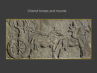 Chariot horses and mounts