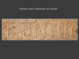 Horses were delivered as tribute