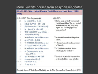 More Kushite horses from Assyrian magnates