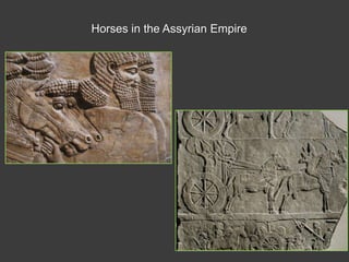 Horses in the Assyrian Empire