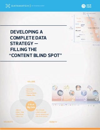 WHITE
                       PAPER




 Developing a
 Complete Data
Strategy —
 Filling the
“Content Blind Spot”
 