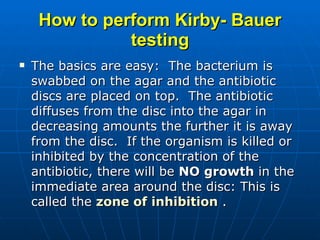 How to perform Kirby- Bauer testing The basics are easy:  The bacterium is swabbed on the agar and the antibiotic discs are placed on top.  The antibiotic diffuses from the disc into the agar in decreasing amounts the further it is away from the disc.  If the organism is killed or inhibited by the concentration of the antibiotic, there will be  NO growth  in the immediate area around the disc: This is called the  zone of inhibition   .  