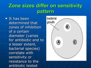 Zone sizes differ on sensitivity pattern It has been determined that zones of inhibition of a certain diameter (varies for antibiotic and to a lesser extent, bacterial species) correlate with sensitivity or resistance to the antibiotic tested  