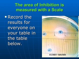 The area of Inhibition is measured with a Scale Record the results for everyone on your table in the table below.    