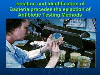 Isolation and Identification of Bacteria precedes the selection of Antibiotic Testing Methods 