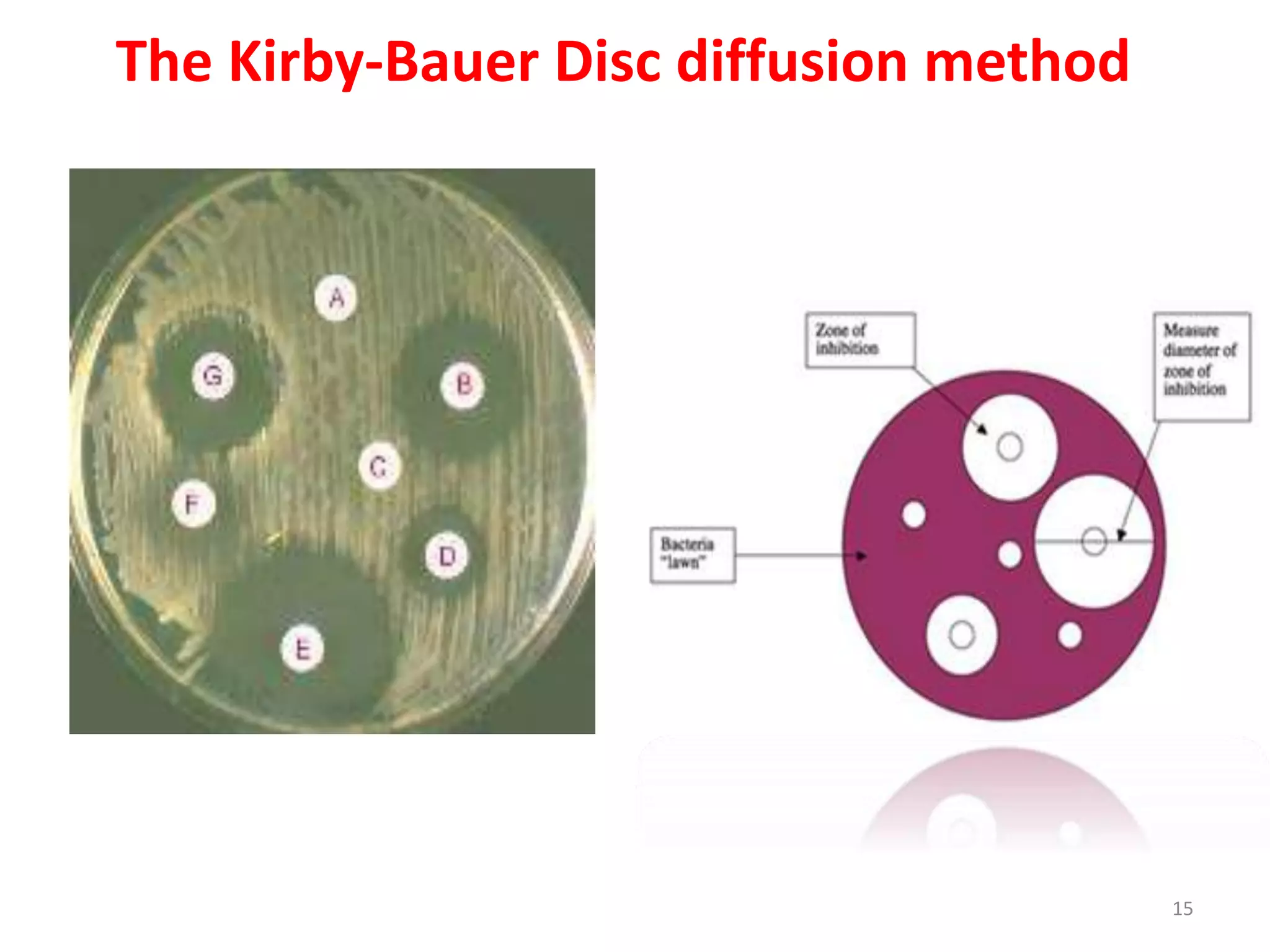 The Kirby-Bauer Disc diffusion method
15
Transmitted
Light
 