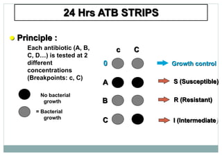 AST.ppt