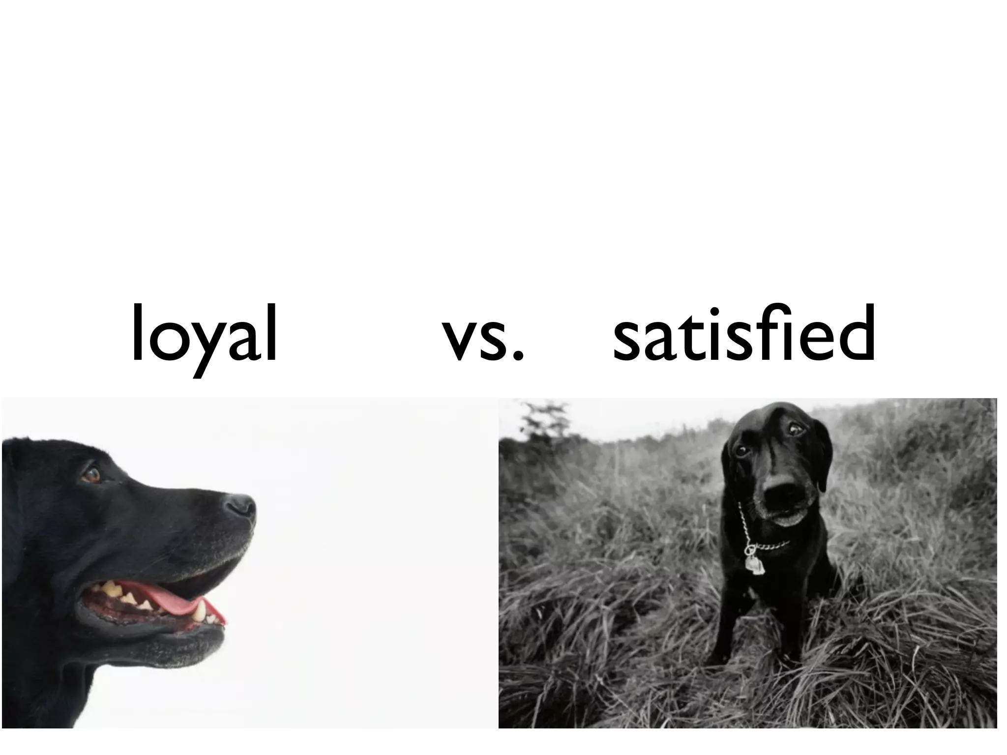 loyal   vs.   satisﬁed
 