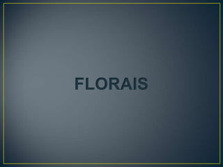 FLORAIS
 