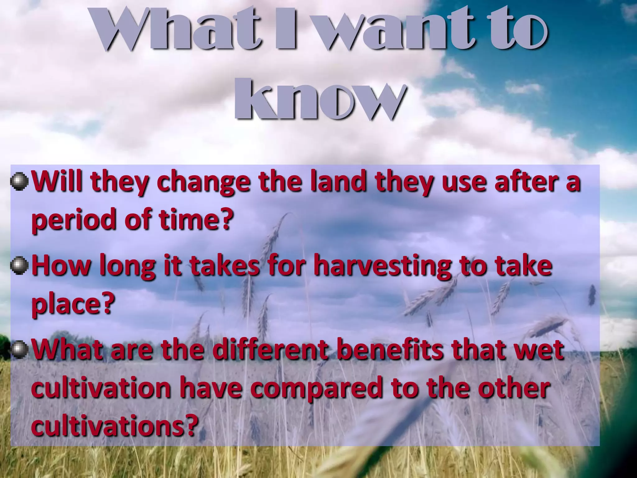 The Astonishing Productivity Of Intensive Wet Rice Cultivation - dbcbmfs