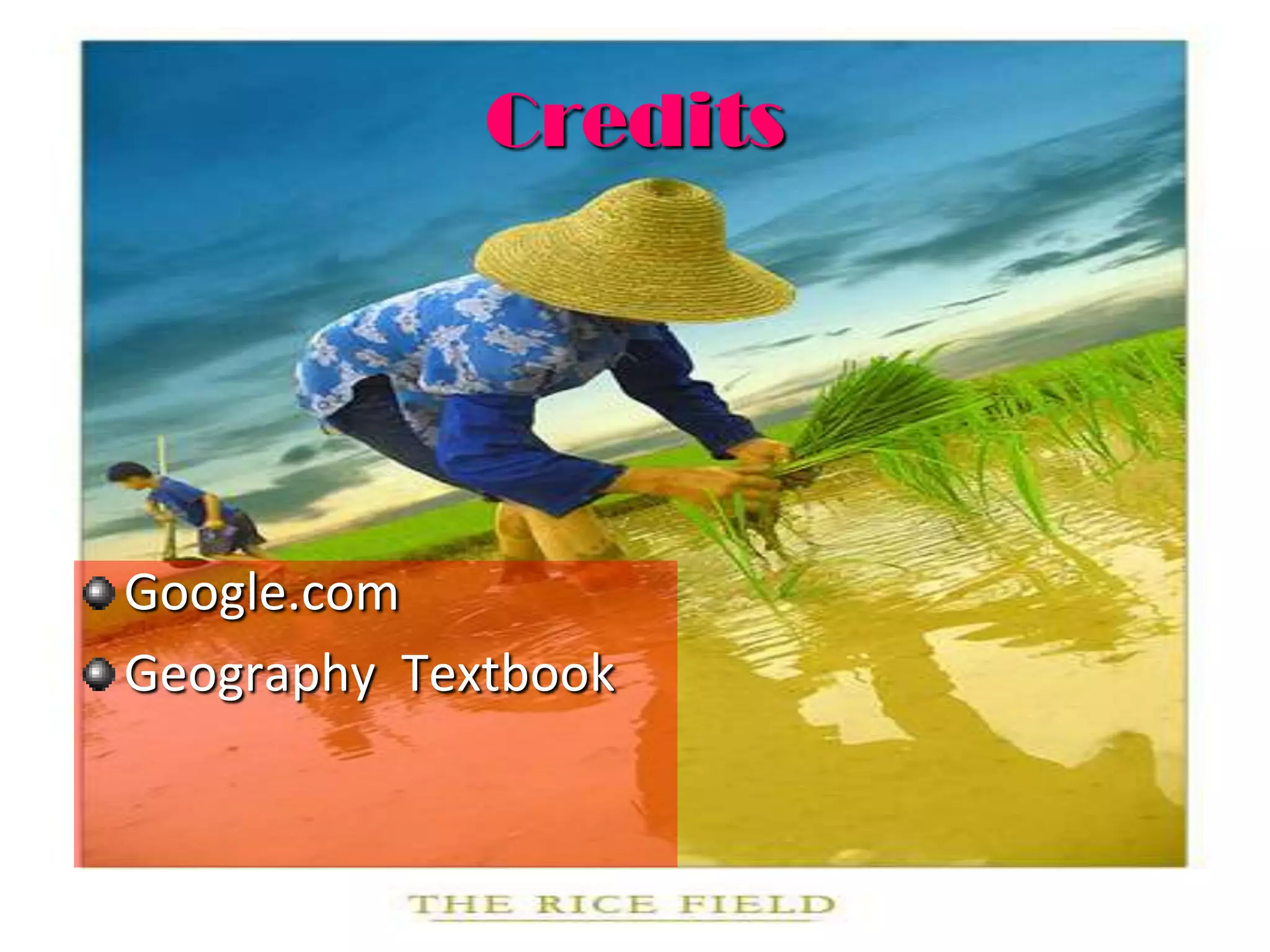 The Astonishing Productivity Of Intensive Wet Rice Cultivation - nndhamw