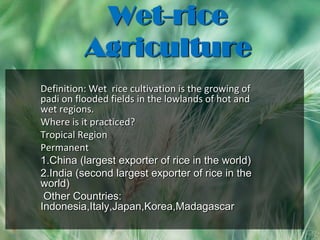 Wet-rice Agriculture Definition: Wet  rice cultivation is the growing of padi on flooded fields in the lowlands of hot and wet regions. Where is it practiced? Tropical Region  Permanent 1.China (largest exporter of rice in the world)   2.India (second largest exporter of rice in the world)    Other Countries:   Indonesia,Italy,Japan,Korea,Madagascar 
