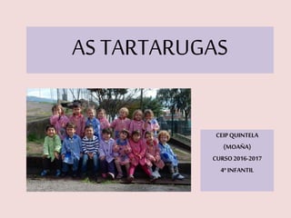 AS TARTARUGAS
CEIPQUINTELA
(MOAÑA)
CURSO2016-2017
4º INFANTIL
 