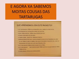 E AGORA XA SABEMOS
MOITAS COUSAS DAS
TARTARUGAS
 