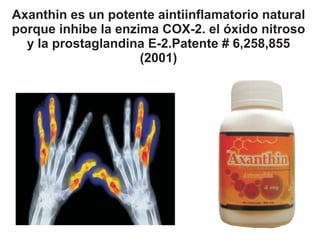 Axanthin es un potente aintiinflamatorio natural
porque inhibe la enzima COX-2. el óxido nitroso
  y la prostaglandina E-2.Patente # 6,258,855
                     (2001)
 