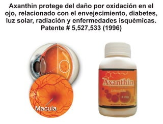 Axanthin protege del daño por oxidación en el
ojo, relacionado con el envejecimiento, diabetes,
luz solar, radiación y enfermedades isquémicas.
             Patente # 5,527,533 (1996)
 