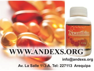 WWW.ANDEXS.ORG
                         info@andexs.org
 Av. La Salle 113-A. Tel: 227113 Arequipa
 