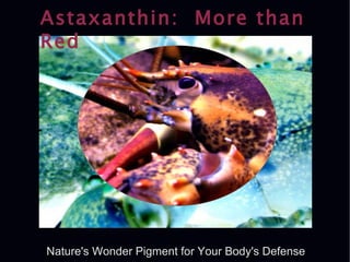 Astaxanthin:  More than Red Nature's Wonder Pigment for Your Body's Defense 