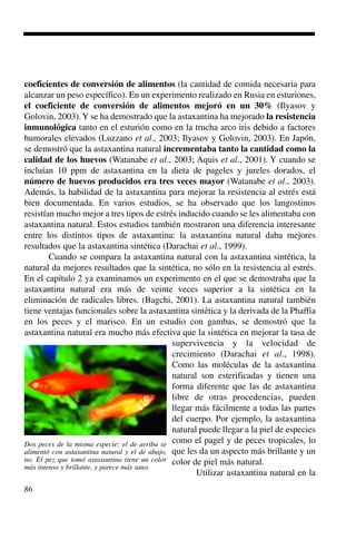 86
coeficientes de conversión de alimentos (la cantidad de comida necesaria para
alcanzar un peso específico). En un experimento realizado en Rusia en esturiones,
el coeficiente de conversión de alimentos mejoró en un 30% (Ilyasov y
Golovin, 2003).Y se ha demostrado que la astaxantina ha mejorado la resistencia
inmunológica tanto en el esturión como en la trucha arco iris debido a factores
humorales elevados (Luzzano et al., 2003; Ilyasov y Golovin, 2003). En Japón,
se demostró que la astaxantina natural incrementaba tanto la cantidad como la
calidad de los huevos (Watanabe et al., 2003; Aquis et al., 2001). Y cuando se
incluían 10 ppm de astaxantina en la dieta de pageles y jureles dorados, el
número de huevos producidos era tres veces mayor (Watanabe et al., 2003).
Además, la habilidad de la astaxantina para mejorar la resistencia al estrés está
bien documentada. En varios estudios, se ha observado que los langostinos
resistían mucho mejor a tres tipos de estrés inducido cuando se les alimentaba con
astaxantina natural. Estos estudios también mostraron una diferencia interesante
entre los distintos tipos de astaxantina: la astaxantina natural daba mejores
resultados que la astaxantina sintética (Darachai et al., 1999).
Cuando se compara la astaxantina natural con la astaxantina sintética, la
natural da mejores resultados que la sintética, no sólo en la resistencia al estrés.
En el capítulo 2 ya examinamos un experimento en el que se demostraba que la
astaxantina natural era más de veinte veces superior a la sintética en la
eliminación de radicales libres. (Bagchi, 2001). La astaxantina natural también
tiene ventajas funcionales sobre la astaxantina sintética y la derivada de la Phaffia
en los peces y el marisco. En un estudio con gambas, se demostró que la
astaxantina natural era mucho más efectiva que la sintética en mejorar la tasa de
supervivencia y la velocidad de
crecimiento (Darachai et al., 1998).
Como las moléculas de la astaxantina
natural son esterificadas y tienen una
forma diferente que las de astaxantina
libre de otras procedencias, pueden
llegar más fácilmente a todas las partes
del cuerpo. Por ejemplo, la astaxantina
natural puede llegar a la piel de especies
como el pagel y de peces tropicales, lo
que les da un aspecto más brillante y un
color de piel más natural.
Utilizar astaxantina natural en la
Dos peces de la misma especie: el de arriba se
alimentó con astaxantina natural y el de abajo,
no. El pez que tomó astaxantina tiene un color
más intenso y brillante, y parece más sano.
 