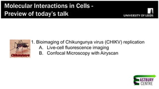 1. Bioimaging of Chikungunya virus (CHIKV) replication
A. Live-cell fluorescence imaging
B. Confocal Microscopy with Airyscan
Molecular Interactions in Cells -
Preview of today’s talk
 