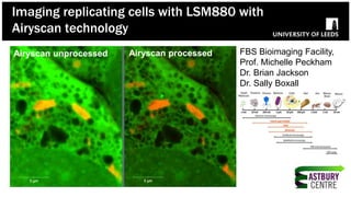 Airyscan unprocessed Airyscan processed FBS Bioimaging Facility,
Prof. Michelle Peckham
Dr. Brian Jackson
Dr. Sally Boxall
Imaging replicating cells with LSM880 with
Airyscan technology
 