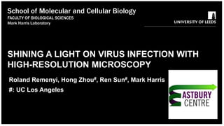 SHINING A LIGHT ON VIRUS INFECTION WITH
HIGH-RESOLUTION MICROSCOPY
Roland Remenyi, Hong Zhou#, Ren Sun#, Mark Harris
#: UC Los Angeles
School of Molecular and Cellular Biology
FACULTY OF BIOLOGICAL SCIENCES
Mark Harris Laboratory
 