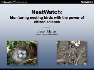 NestWatch



            NestWatch:
Monitoring nesting birds with the power of
             citizen science

                Jason Martin
              Project Leader - NestWatch
 