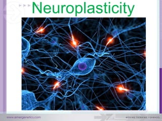 Neuroplasticity
 