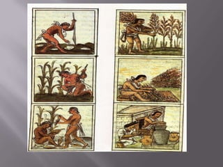 Tequiuaque = filhos de pessoas ilustres